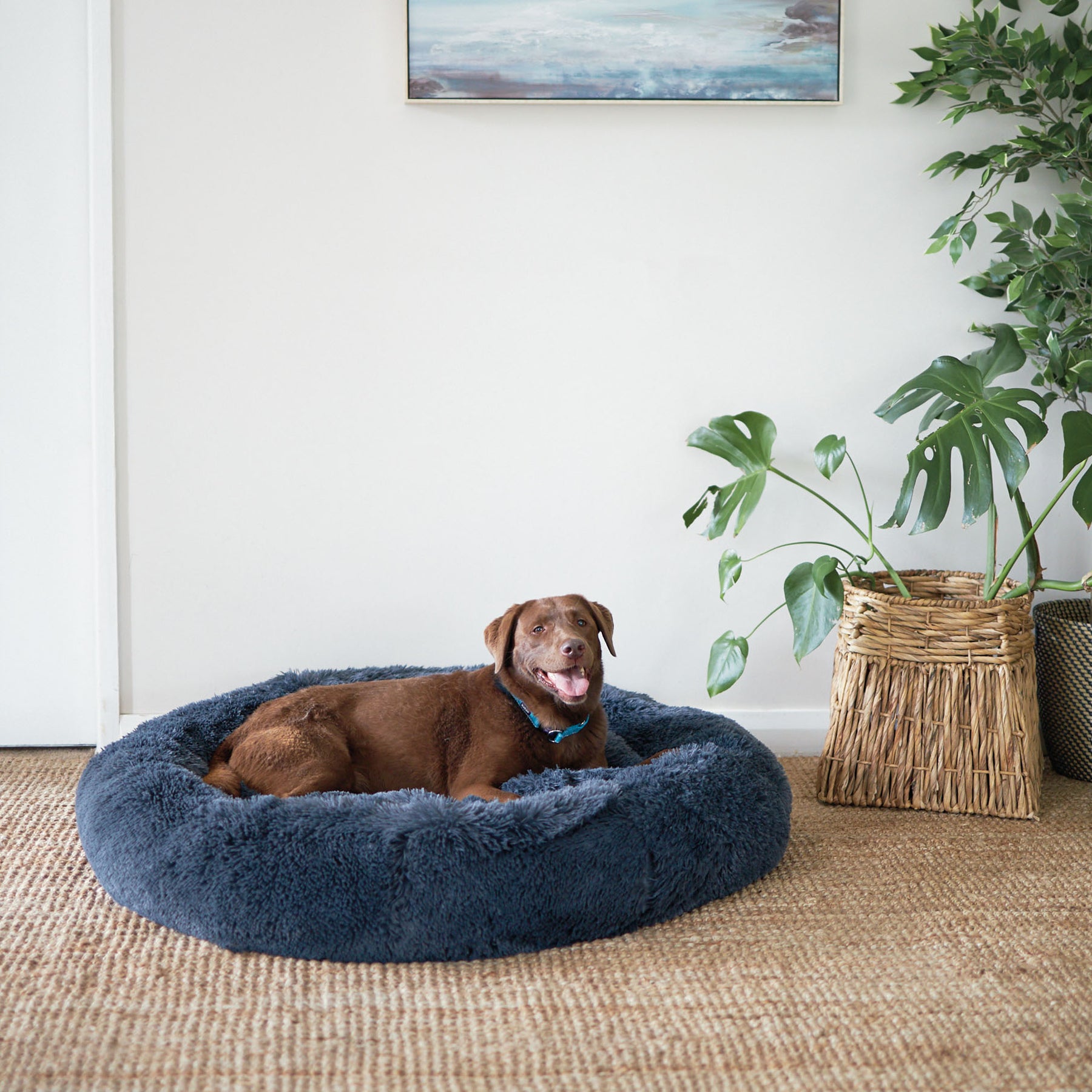 Kitty Peacock Bed Storm Grey Kazoo Pet Co