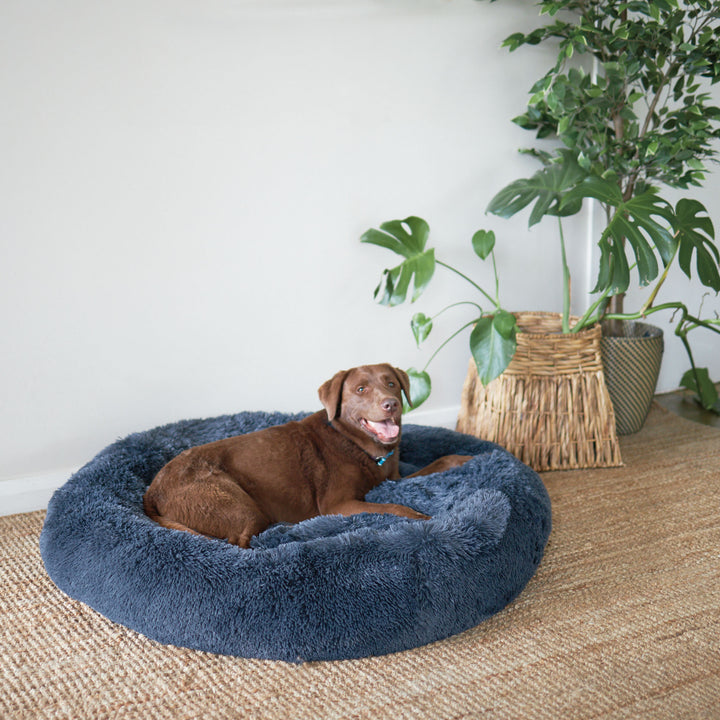 Kitty Peacock Bed - Storm Grey