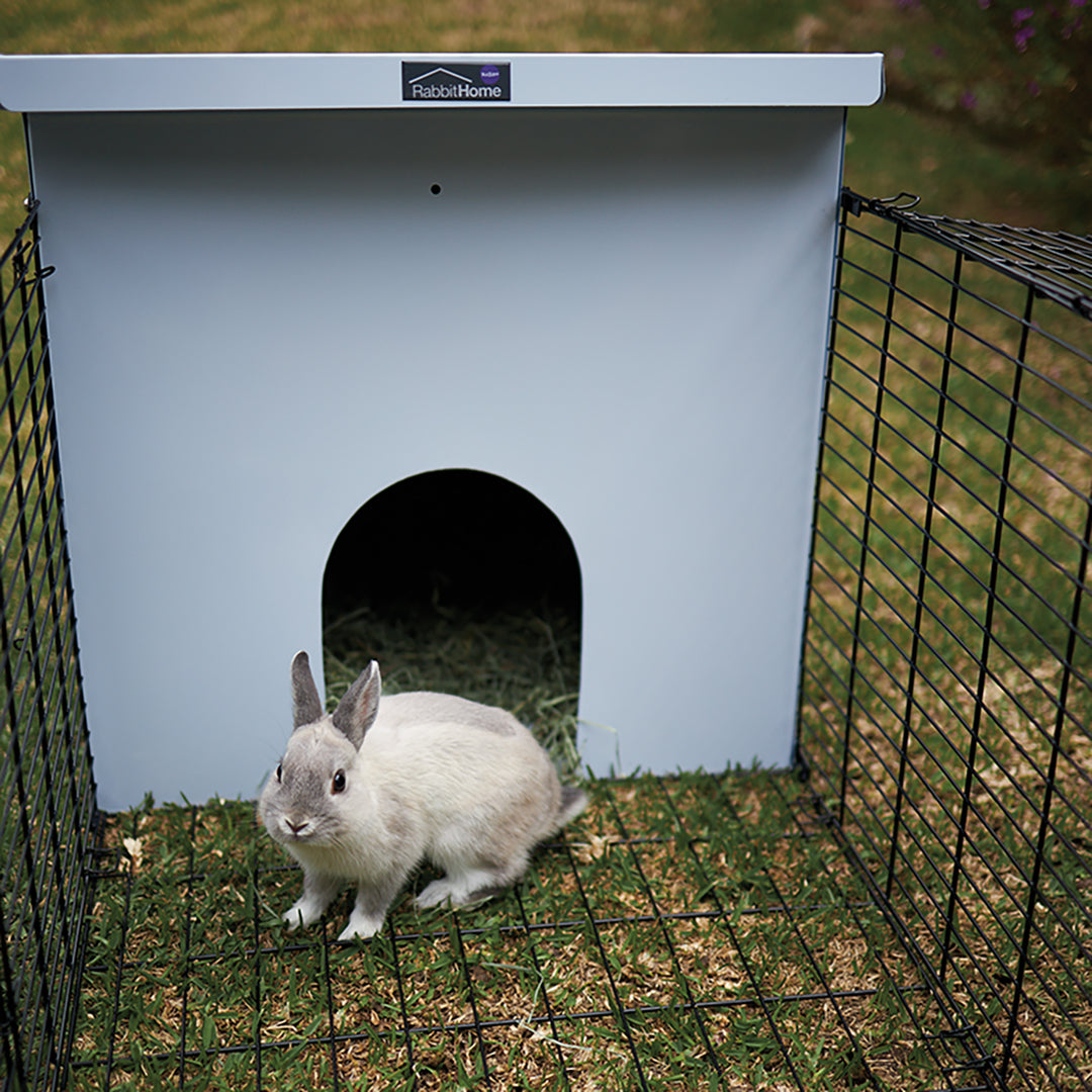 Rabbit Home - Kazoo Pet Co