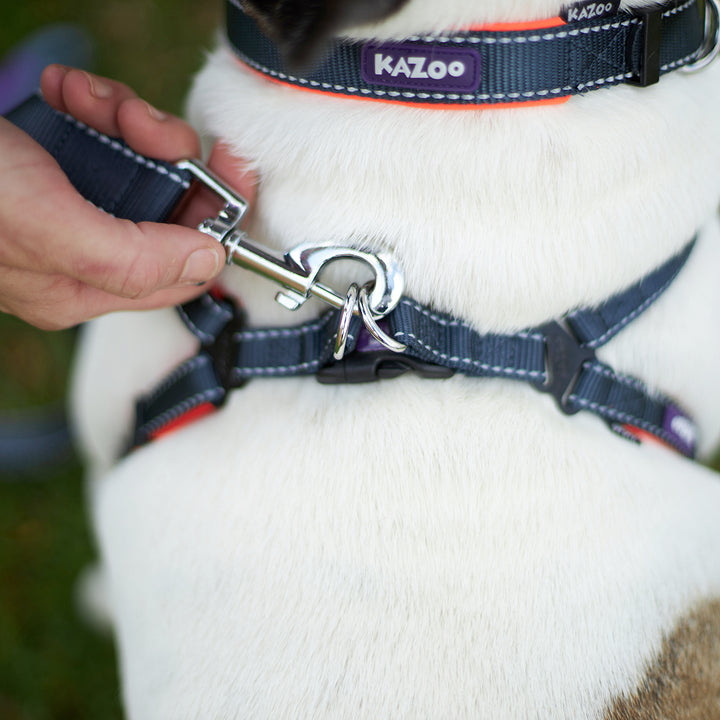 Active Walking Harness - Slate & Orange - Kazoo Pet Co