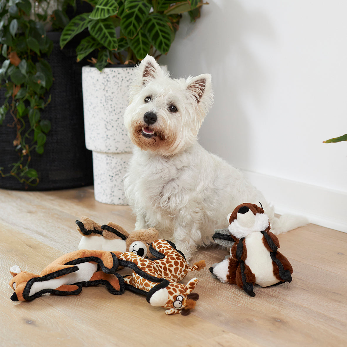 Squeaky giraffe dog online toy