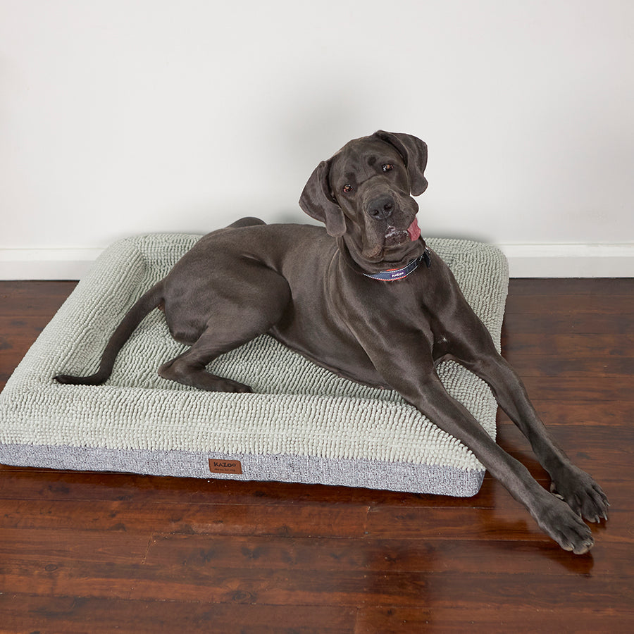 Wombat Dog Bed Massager Kazoo Pet Co